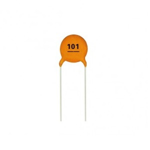100 pF Ceramic Capacitor 101