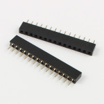 Female Pin Header_Gold Color